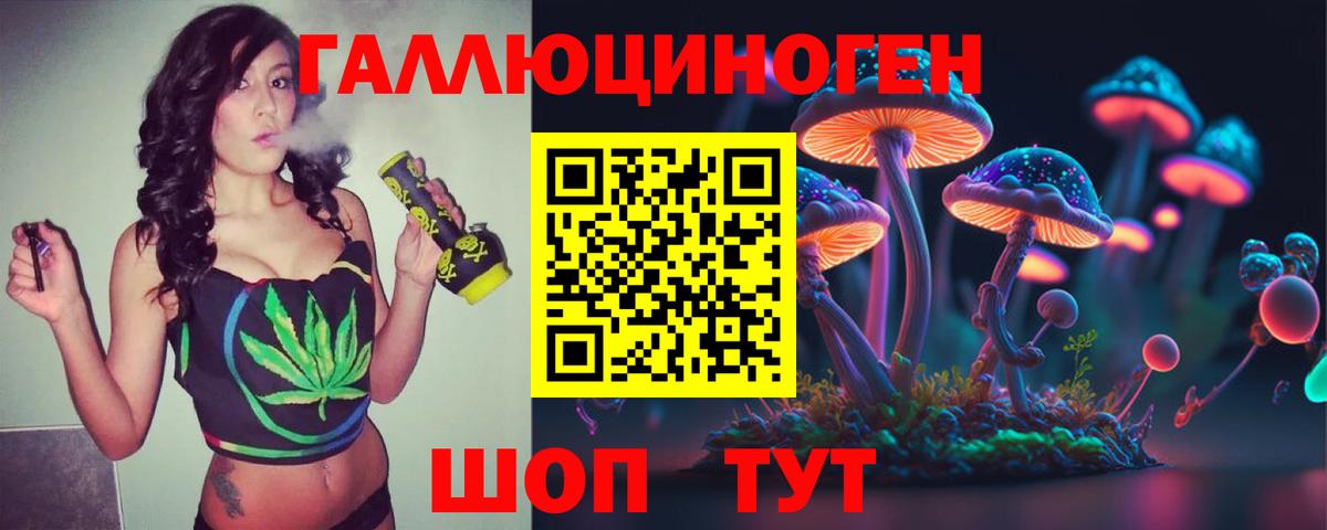 Псилоцибиновые грибы Cubensis  Вход с VPN  Бугуруслан 
